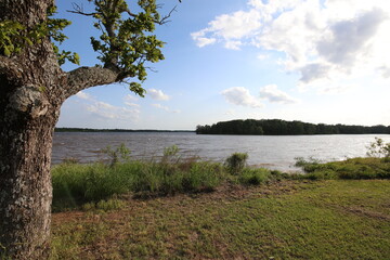 Lakeshore and Clouds