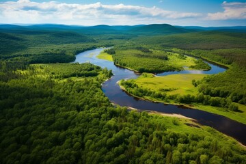 Fototapeta na wymiar A stunning aerial view of a forested national park in summer with a beautiful river in the background. Generative AI