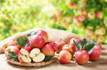 fresh red apples on wooden table in a garden