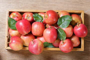 fresh red apples with leaves in a wooden box, top view