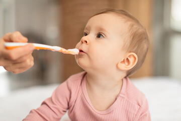 Childcare concept. Mother feeding her adorable infant baby girl with spoon at home, sitting...