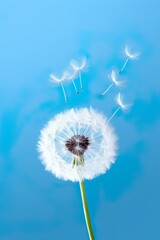 Beautiful white dandelion on blue background with copy space. Illustration | Generative AI