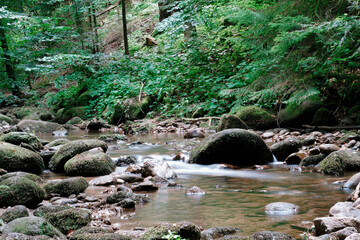 Naklejka na ściany i meble Scenic view of stream flowing through rocks in Black Forest