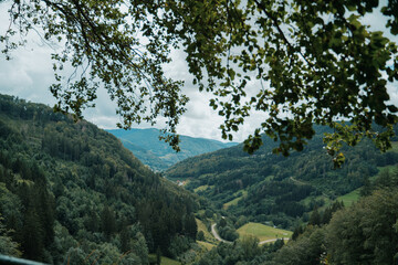 Scenic view of lush mountains at Black Forest