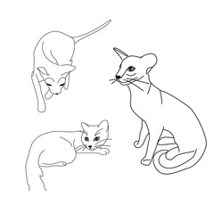Cute drawing of a sitting cat. Linear drawing of an animal