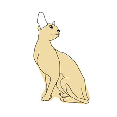 Cute drawing of a sitting cat. Linear drawing of an animal