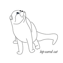 Cute sketch drawing of a playing cat. Linear drawing of a pet.