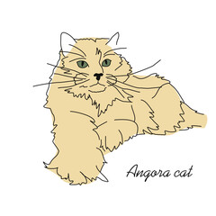 Cute sketch drawing of a lying cat. Linear drawing of a pet. Angora