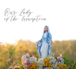 Our Lady of the Assumption card. Grace Virgin Mary figurine and sacred herbs close up on meadow,...
