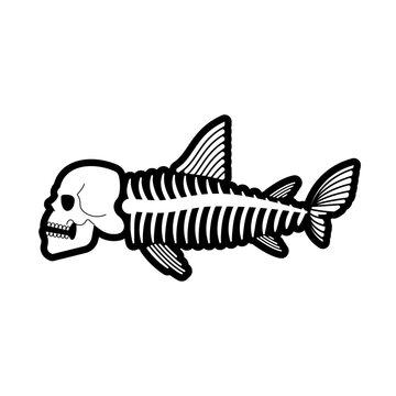 Skeleton of fish with skull. Vector illustration