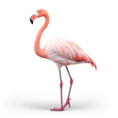 Fotobehang Pink flamingo isolated © olegganko