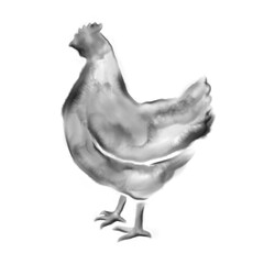 Watercolor Chicken Meal Choice Icon Illustration
