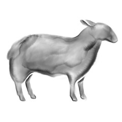 Watercolor Sheep Lamb Meal Choice Icon Illustration