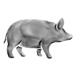 Watercolor Pig Pork Meal Choice Icon Illustration