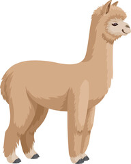 Cute alpaca side view vector illustration isolated on white background.