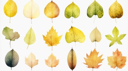 Obraz premium watercolor painting leaf illustration collection set - many different leaves, isolated on white background () generative AI