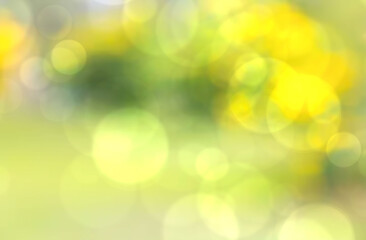 Abstract green bokeh background blur