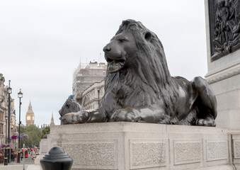 Iconic Lion Statue from Trafalgar Square with Big Ben in the Background during an overcast day...