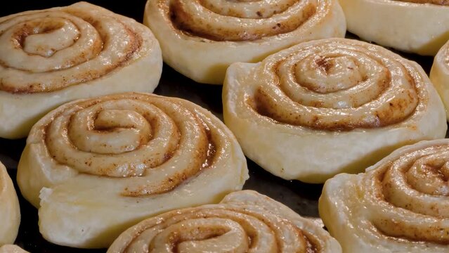 Timelapse - many cinnamon buns baking and rising on tray in electric oven at home - close up view. Homemade bakery, food, cooking, pastry and time lapse concept