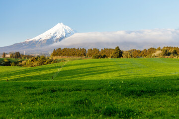 Lush green grass with mountain backdrop