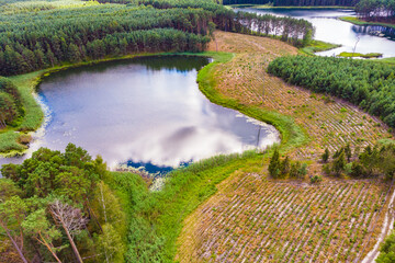 Fototapeta na wymiar Lake in Tuchola Forests, Poland. Aerial view