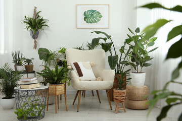 Stylish room with comfortable armchair and beautiful houseplants. Interior design