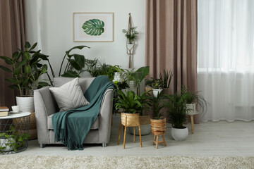 Stylish room with comfortable armchair and beautiful houseplants. Interior design