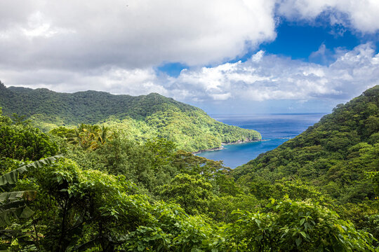 Beautiful landscape view of the National Park of American Samoa on the island of Tutuila.