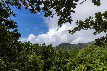 Beautiful landscape view of the National Park of American Samoa on the island of Tutuila.