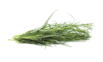 Bunch of fresh tarragon on white background