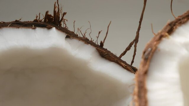 Close-up shot of a coconut