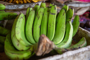 Batch of Green Bananas
