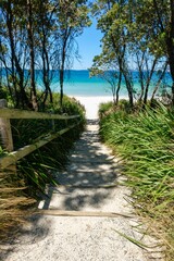 Fototapeta premium Wooden steps framed by trees and shrubs leading down to a white sand beach in Shoalhaven — Callala Beach, Jervis Bay National Park; New South Wales, Australia