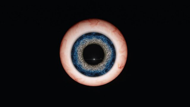 Eye Looking Around, 4k vj loop 60fps, 120bpm, iris visual 3d motion graphic
