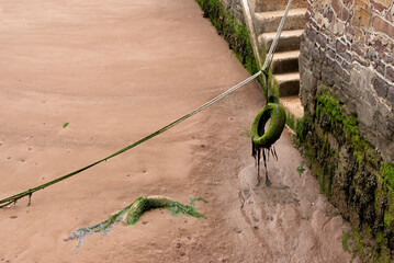 Tyre used as a fender covered in seaweed