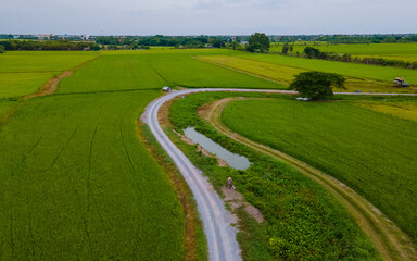 Obraz premium Green rice paddy fields in Central Thailand Suphanburi region with a curved winding road, drone aerial view of green rice fields in Thailand
