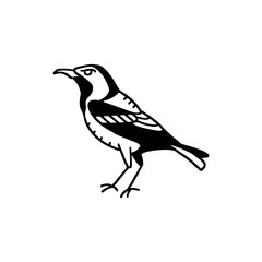 vector illustration of a crow