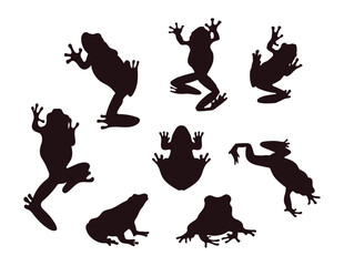 frog silhouette Vector on white background 