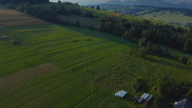 Pasture Land Fields In Podhale Region, Tatra Mountains In Southern Poland. Aerial Drone Shot