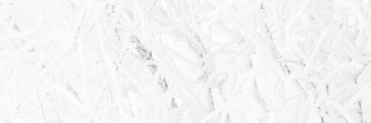 Snow and rime ice on the branches of bushes. Trees covered with hoarfrost. Plants in the park are covered with hoar frost. Cold snowy winter weather. Frosting texture. Wide panoramic light background.