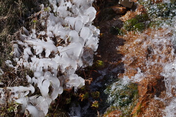 Gotas de agua heladas  sobre hierbas a la orilla de un arroyo de montaña en la cordillera de los Andes Mendoza.Argentina