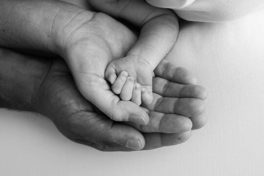 Three palms of a happy family. Small newborn hand with tiny fingers. The palm of parents, father and mother holds the handle of a newborn. Studio macro shot, black and white photo.