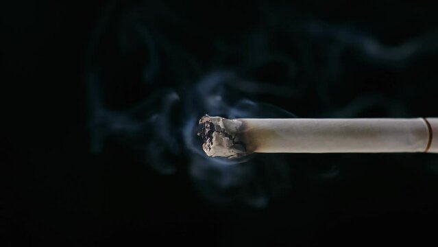 Close Up Smoking Cigarette Black Background, Tobacco Industry General Smoking Concept