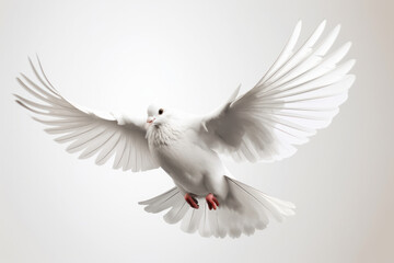 Witness the grace and agility of a white bird as it soars through the sky with wings spread wide in this stunning wildlife photograph. AI Generative.