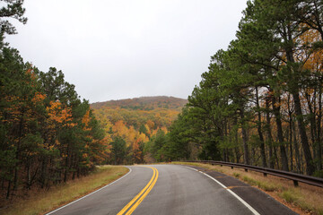 Talimena Scenic Byway - Fall Color