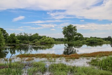 Reflections in a Pond - Oklahoma