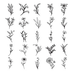 Set of hand drawn leaf and flower	
