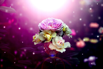 Bouquet of roses in midst of the glittering light gives a feeling of freshness