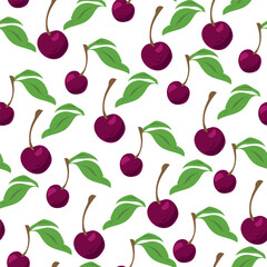 Seamless cherry pattern on white background. Vector  illustration