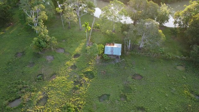Aerial view of the buffalo pen and the holes in the ground made by the buffalo for bathing